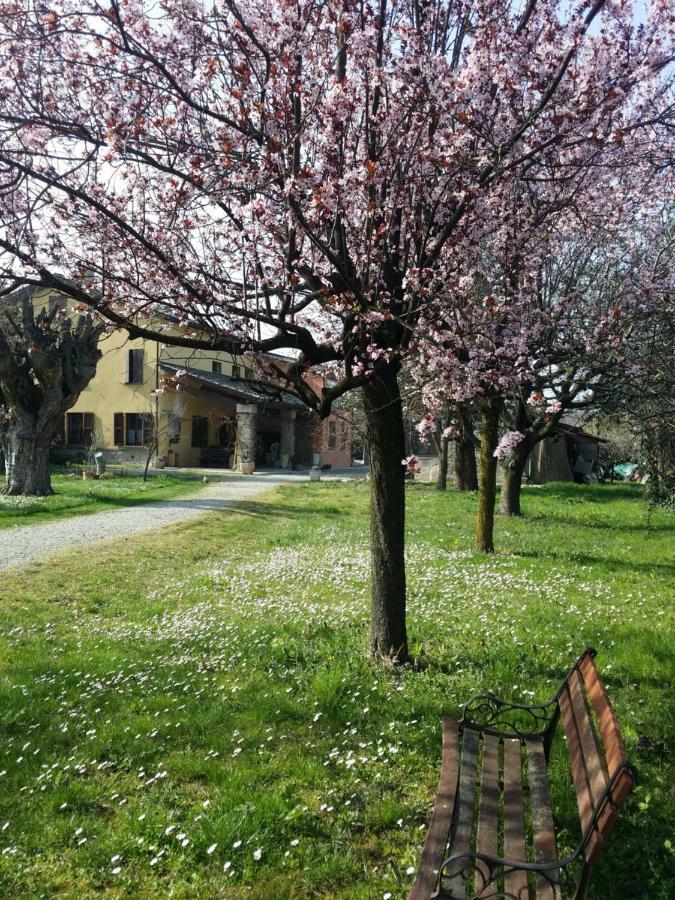 R&B Albero Cavo Parma Bed & Breakfast Luaran gambar