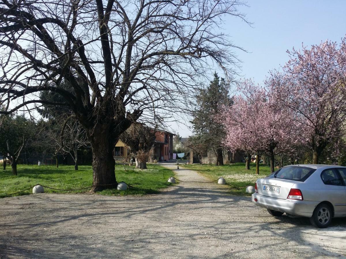 R&B Albero Cavo Parma Bed & Breakfast Luaran gambar
