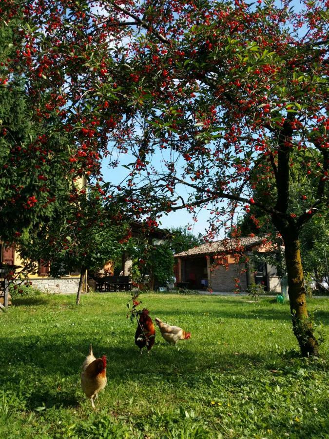 R&B Albero Cavo Parma Bed & Breakfast Luaran gambar