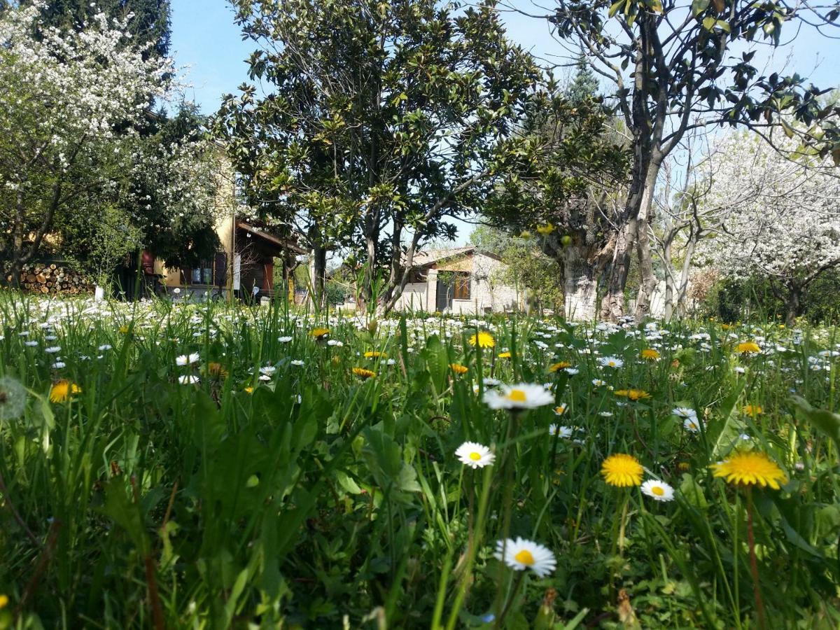 R&B Albero Cavo Parma Bed & Breakfast Luaran gambar