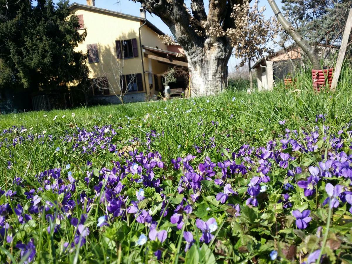 R&B Albero Cavo Parma Bed & Breakfast Luaran gambar