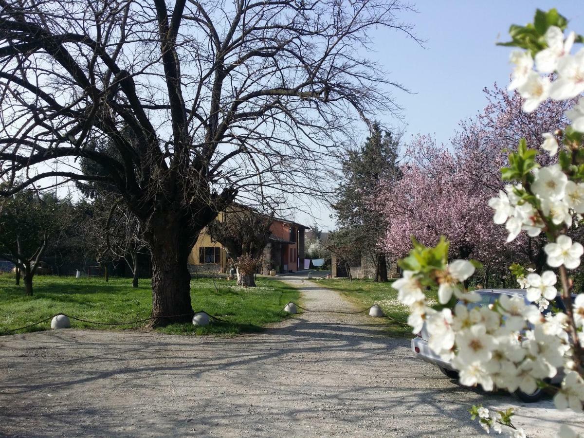 R&B Albero Cavo Parma Bed & Breakfast Luaran gambar